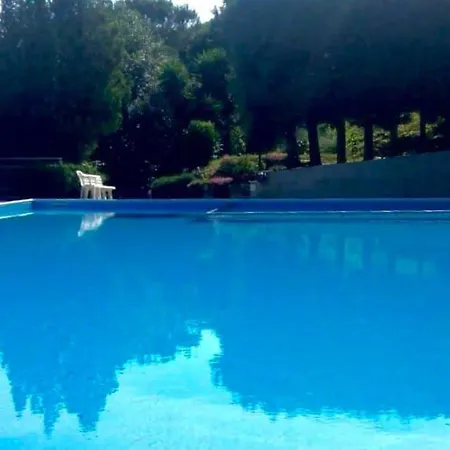 Profumo Di Pini