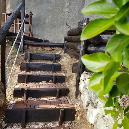 Profumo Di Pini
